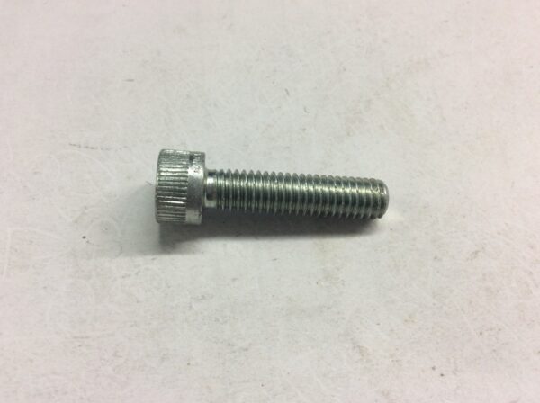 2011 Polaris Screw
