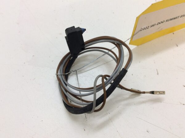 2021 Ski-Doo Microswitch