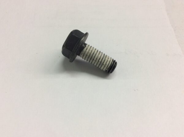 2020 Polaris Screw, Flanged Hex Head - M8X1.25X20 10.9