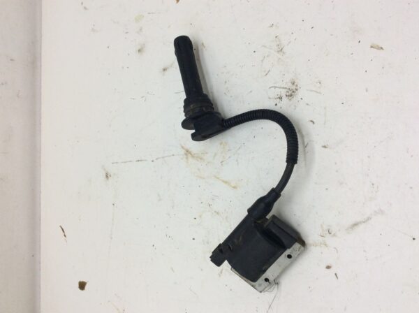 Arctic Cat WILDCAT SPORT Ignition - Assembly