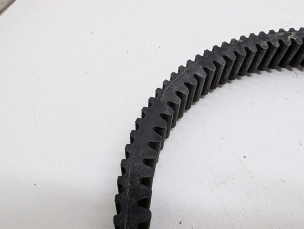 Drive Belt - Image 5
