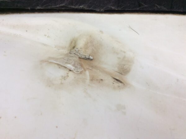 2014 Yamaha LH Belly Pan - Image 4