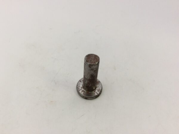 2001 Polaris Rivet