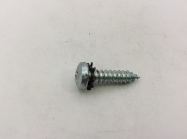 1985 Polaris Screw