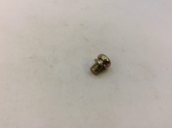 2000 Polaris Screw and Washer