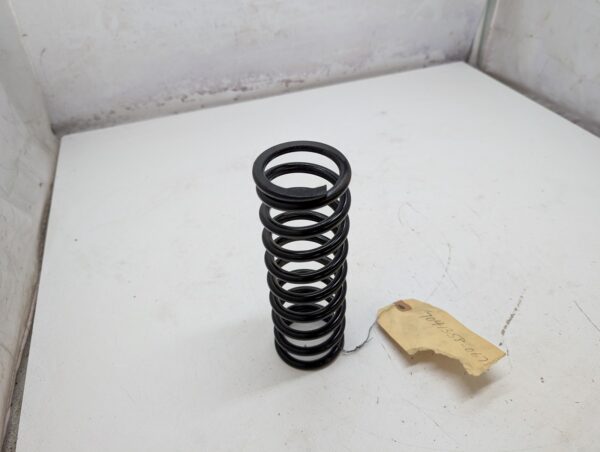 ski shock spring - Image 2