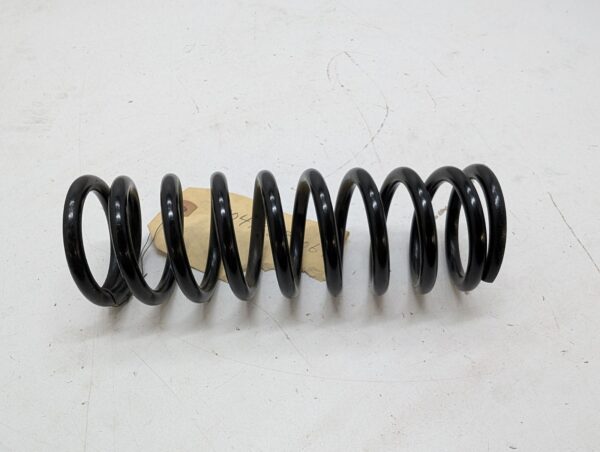 ski shock spring - Image 3