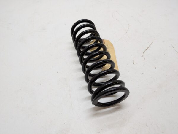 ski shock spring - Image 4