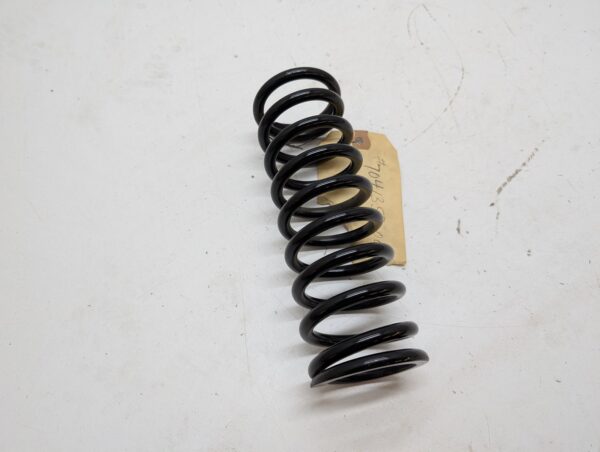ski shock spring - Image 5