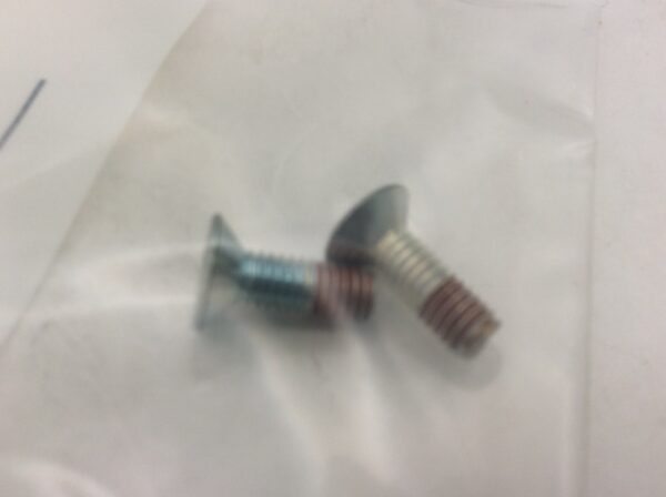2000 Polaris Screw - Image 2