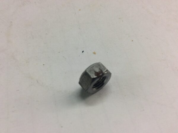 NUT - Image 2