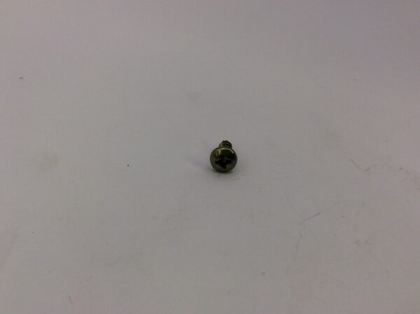 SCREW - Image 2