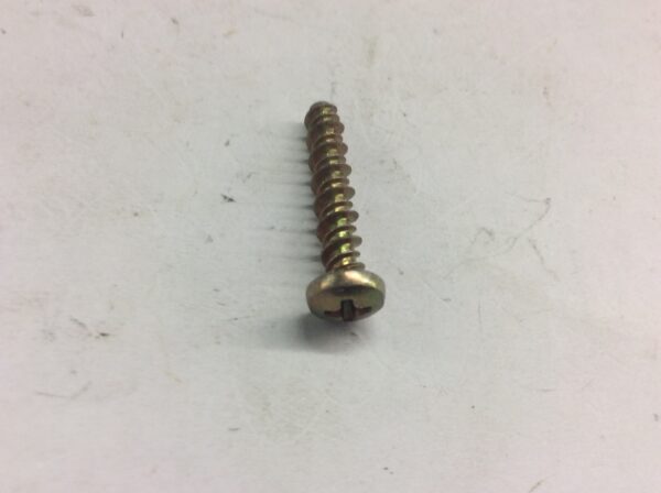 SCREW - Image 2