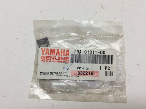 2018 Yamaha Starter Brush 1