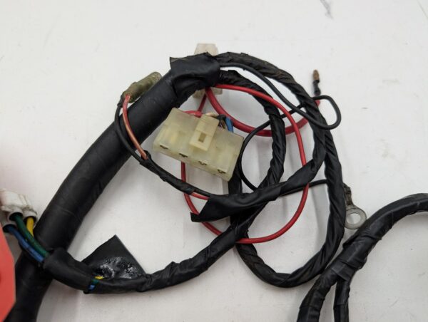 1994 Yamaha Wiring Harness - Image 2