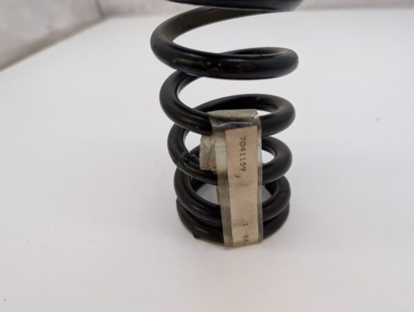 Shock Spring - Image 2