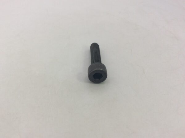 1995 Arctic Cat Bolt, Socket Head 5X20 - Image 3