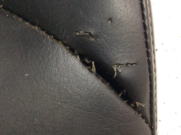 2013 Arctic Cat Seat - Image 3