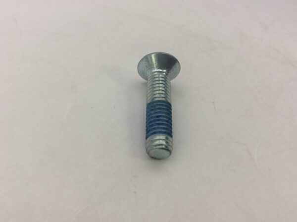 2019 Arctic Cat Screw, Machine - Image 2