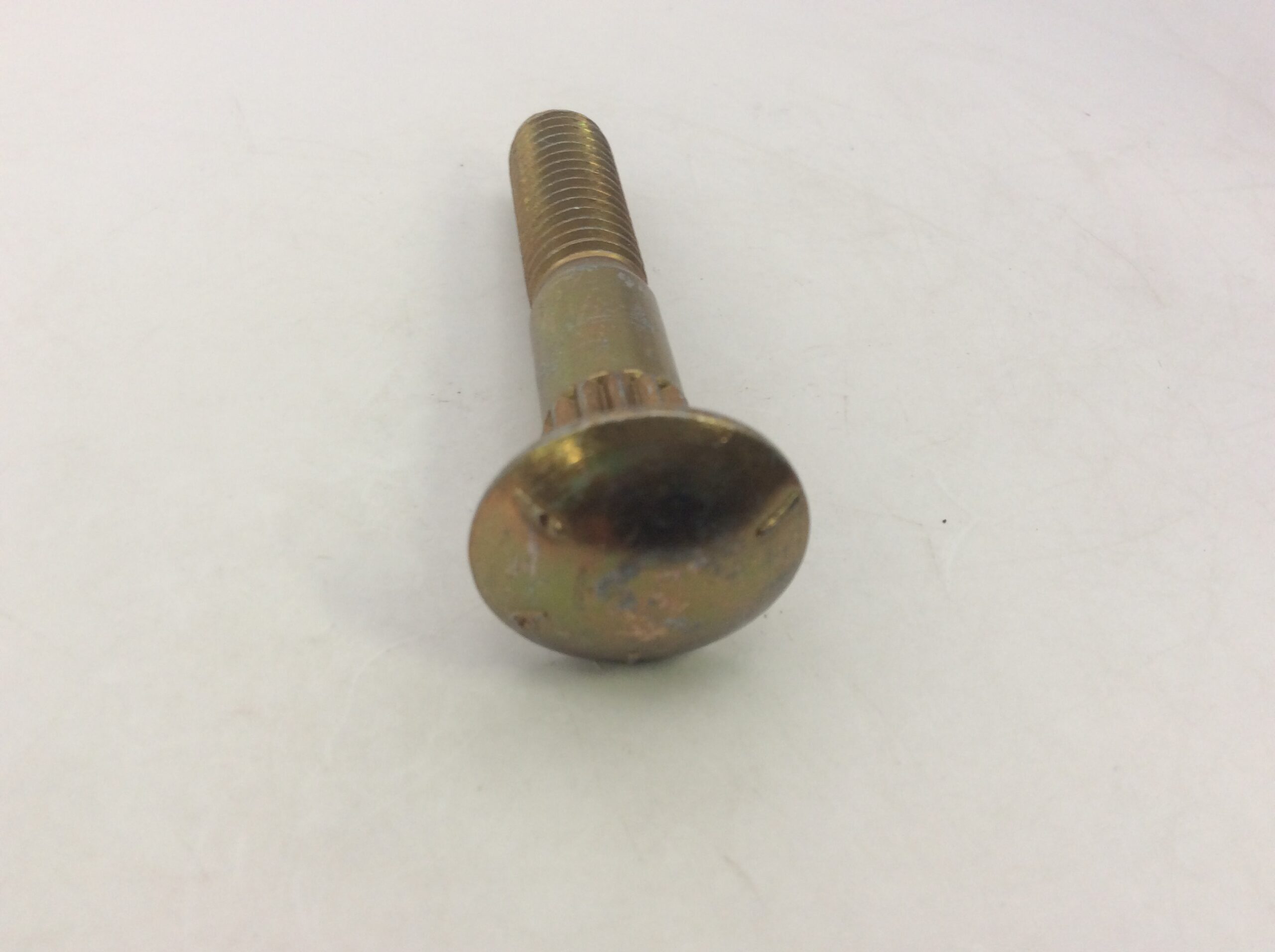 Bolt, Carriage, Ribbed - Image 4