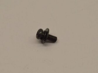 Screw and Washer Assembly