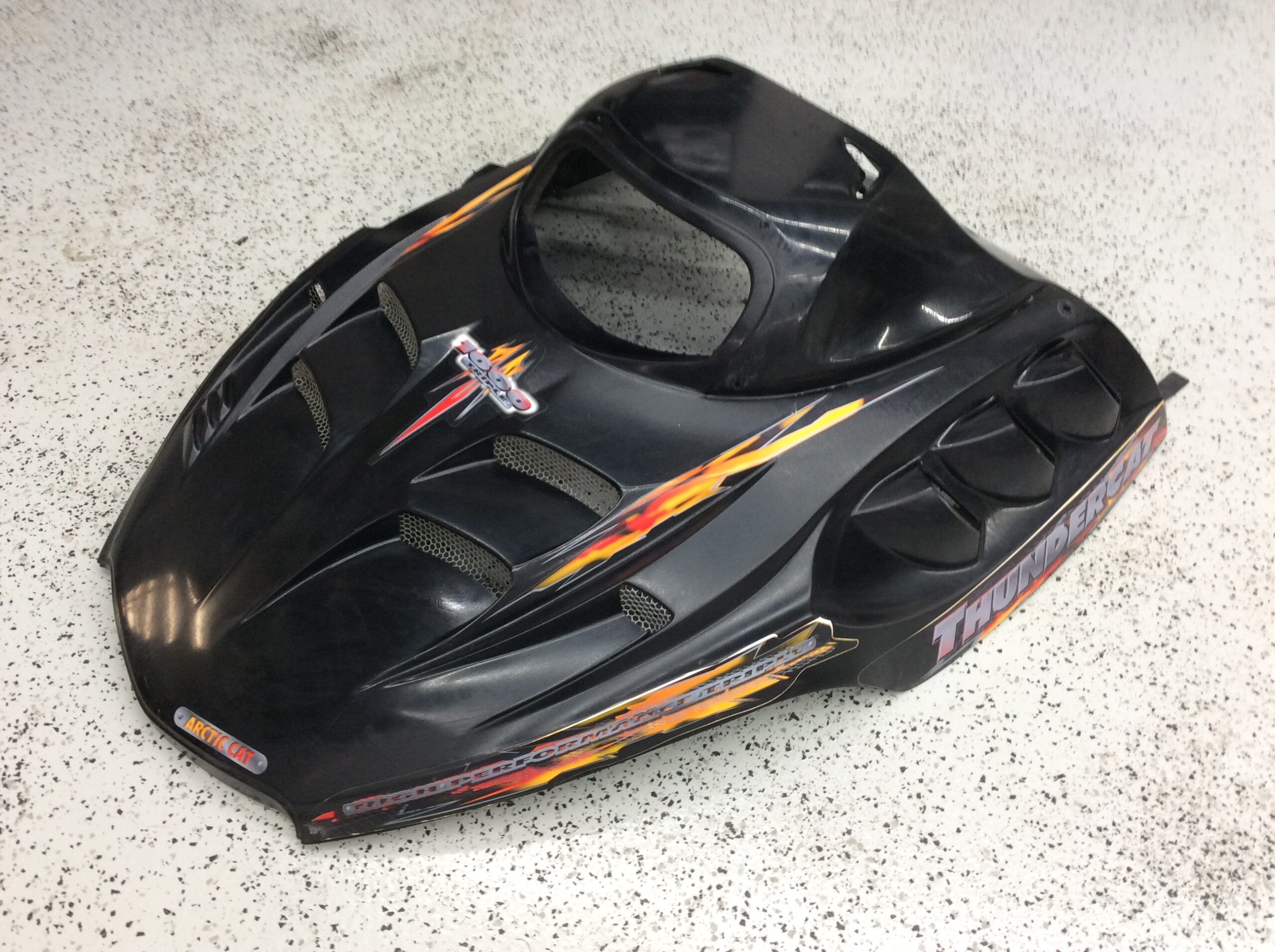 2002 Thundercat Hood - Image 3