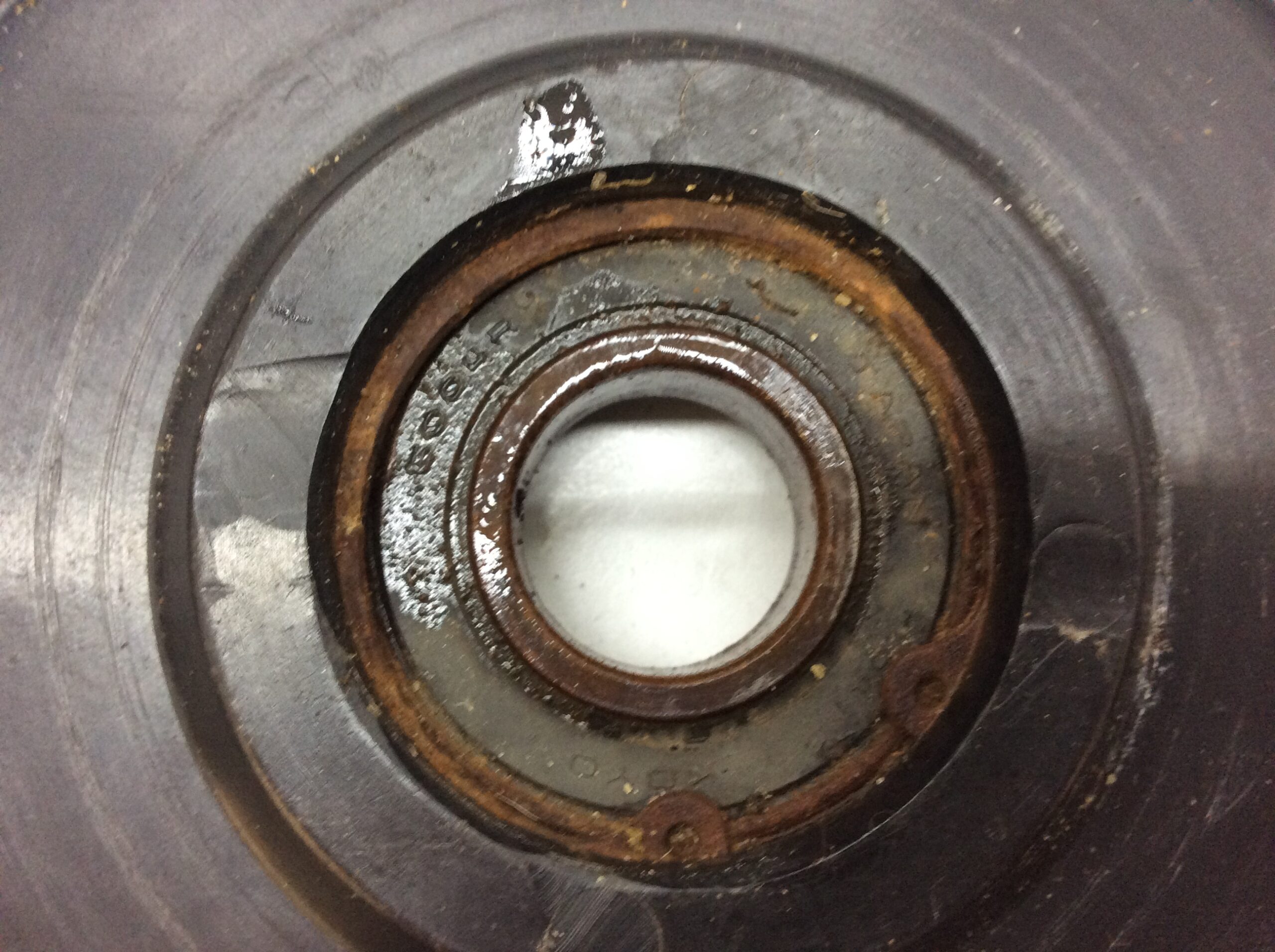 Polaris Teal Idler Wheel - Image 5