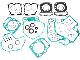 Complete Gasket Set With Oil Seals