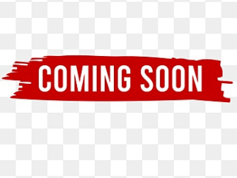 2021 SD RENEGADE ADRENALIN 850 with 6325 miles